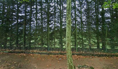 Campo Anexo Estadio Vero Boquete