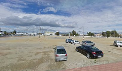 Cancha de Baloncesto deportivo