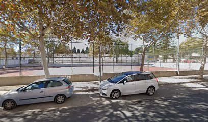 Pista multiuso los Milagros