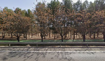 Gimnàs a l’aire lliure