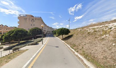 Estadi Nou Pins Vens