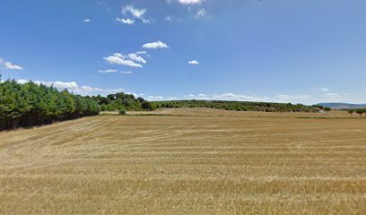 Pista Polideportiva de Arizala.