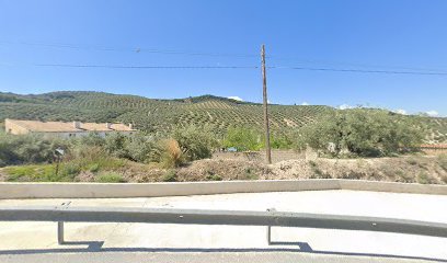 Polideportivo Municipal de Zagra