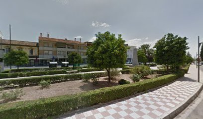 Campo de fútbol