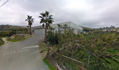 Estadio Municipal de Deportes