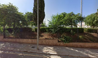 Campo de Fútbol