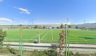 Campo de fútbol