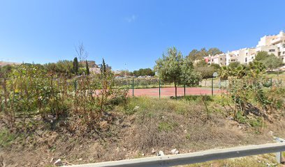 Canchas de baloncesto