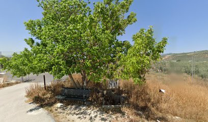 Complejo Deportivo de Tocon