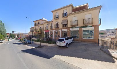 CD Alhama Ippon