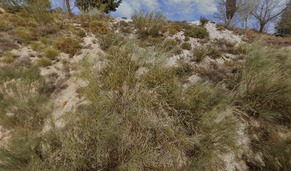 Pistas Municipales de pádel