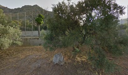 Polideportivo la razuela