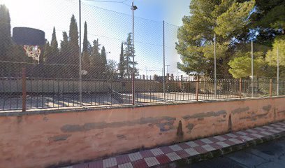 Sports Field