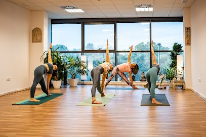Vive Yoga
