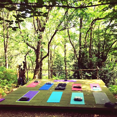 Bosque Escondido Arte
