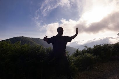 ️ ASOCIACION SHEN QI YI.- Chi Kung y Tai Chi Chuan en Pamplona