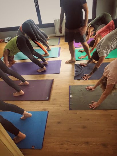 Surya Yoga Shala