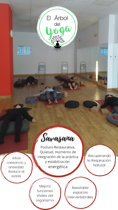 El Árbol del Yoga