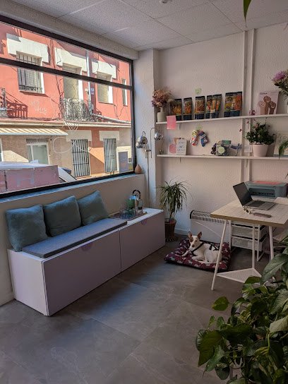 Morada – Estudio de yoga y expresiones corporales