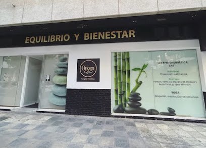 ORIGEN HOLÍSTICA