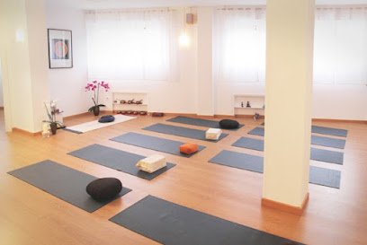 VIDYA YOGA MEDITACIÓN