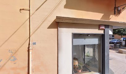 Dolors Escudé Feliu